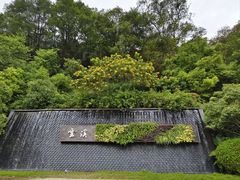 -云溪植物园