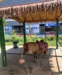 -萌宠亲子动物乐园(槐房万达店)