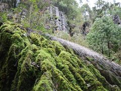 -梭布垭石林景区