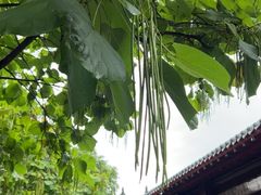 -护国法轮寺