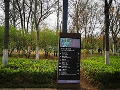 -张店儿童公园