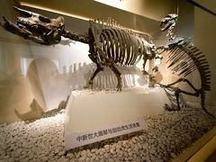 -国家自然博物馆