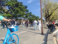 -长春市南湖公园