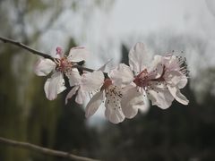 -济南南郊宾馆