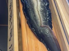 -银座苑烧肉酒场·烤活鳗(仙霞路店)