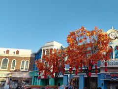 -沈阳方特欢乐世界