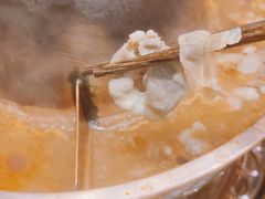 -东镇老火锅(长春路首店)