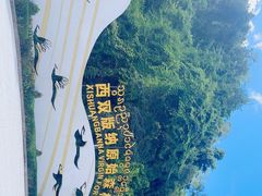 -西双版纳原始森林公园
