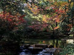 -中国茶叶博物馆(双峰馆区)