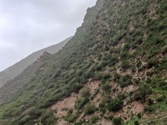 -祁连山草原