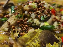 青椒牛尾巴鱼-楚鱼王·河鲜·湖北菜(华农店)