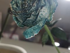 -花点时间(蓝色港湾店)