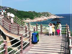 -广东惠东海龟国家级自然保护区