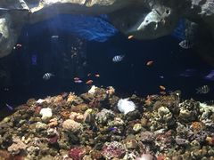 -福州罗源湾海洋世界旅游区