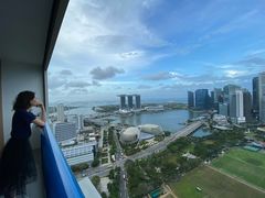 -新加坡瑞士史丹福酒店