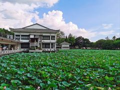 -荔湾湖公园