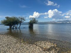 -洱海月湿地公园