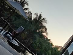 -三亚国光豪生度假酒店-椰语堂(国光豪生店)