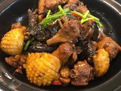 鲍鱼鸡煲-明城五号烤鸭坊(建国门店)