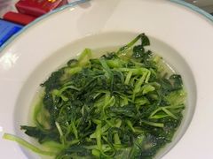 -大金山酒店