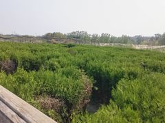 -亲兄弟真人CS团建拓展基地