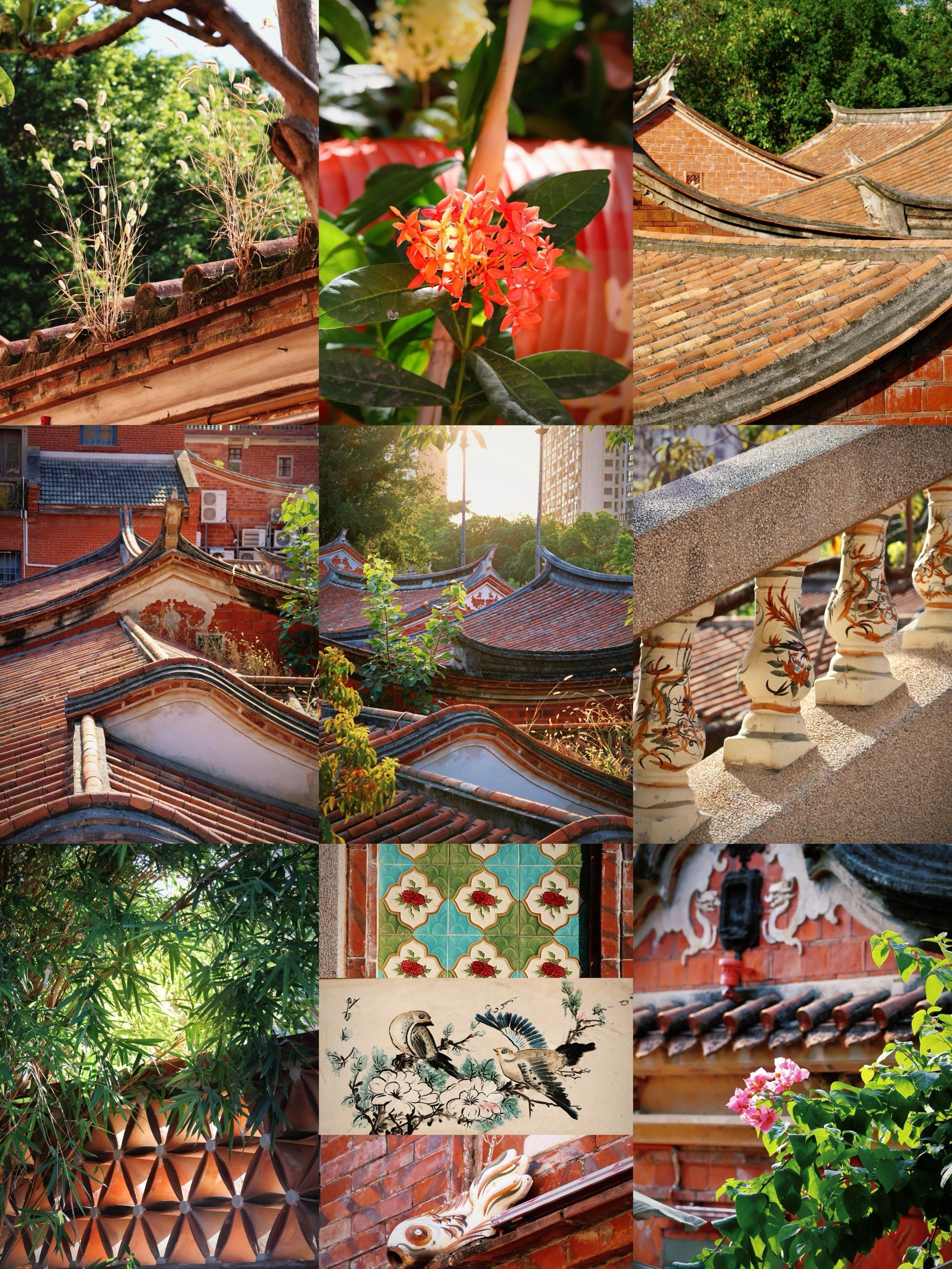 保存完好闽南传统建筑 古香古色 独居一番韵味
花一下午漫步古厝间