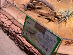 -正佳雨林生态植物园