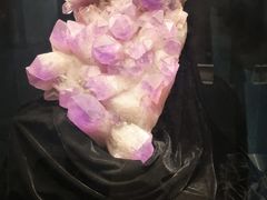 -中华赏石园