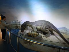 -国家自然博物馆