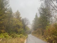 -红崖峡谷景区
