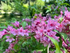 -国家植物园南园