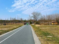 -良渚古城遗址公园