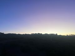 -企鹅岛