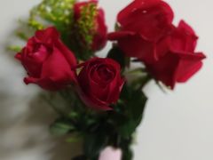 -畅润江小鱼·老坛子酸菜鱼(富弘广场店)