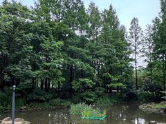 -苏州河梦清园环保主题公园