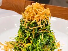巧拌豆苗-四季民福烤鸭店(王府井灯市口店)