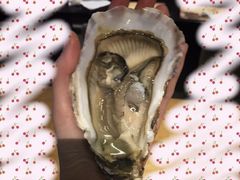 -HIHE Bistro·Oyster Bar(华熙live店)