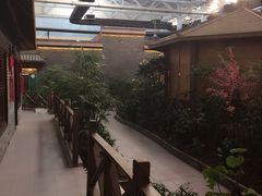 -森谷美食公园(杨行店)