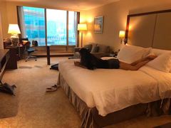 -香港皇家太平洋酒店