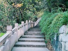 -杭州半山国家森林公园