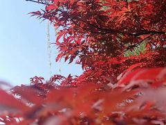 -西太湖揽月湾