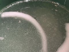 -润园四季椰子鸡火锅(南山海岸城店)