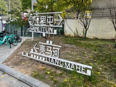 -三里屯东五街银杏大道