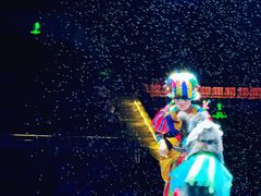 -灵玲国际马戏城