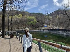 -白水寺森林公园