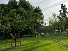 -上海山野camping·户外天幕烧烤·团建拓展营地