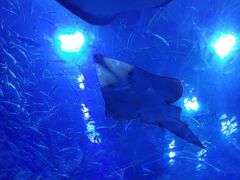 -成都浩海立方海洋公园