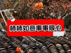 -林坑古村落