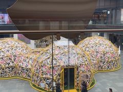 -Apple零售店(成都太古里店)