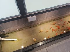 -邵汇大虾火锅(鲁迅路店)